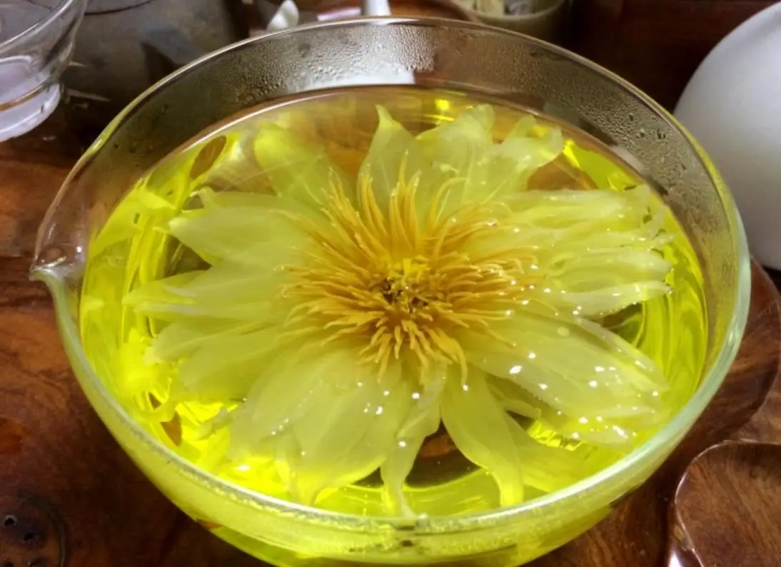 yellow lotus flowers.jpg