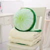 china factory cute fruit printed polar fleece sofa cover 2 in 1 pillow blanket