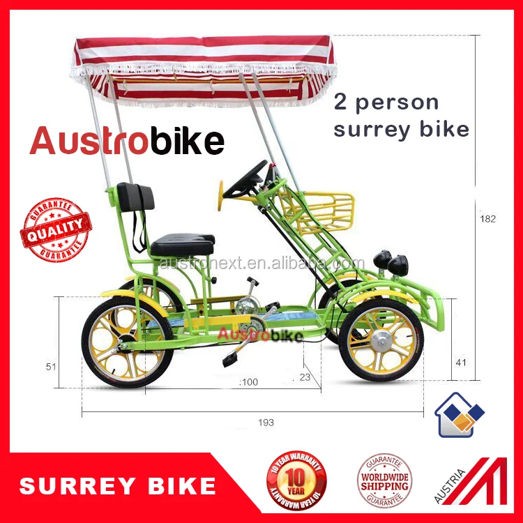 electric surrey bike
