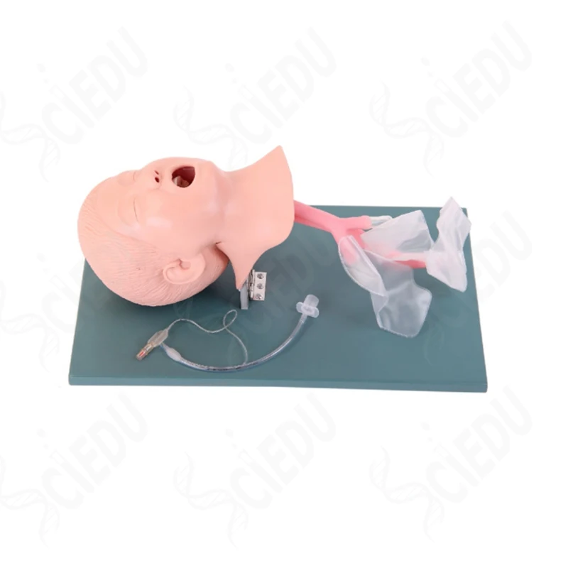 High Quality Child Trachea Intubation Model Dummy Child Simulator - Buy ...