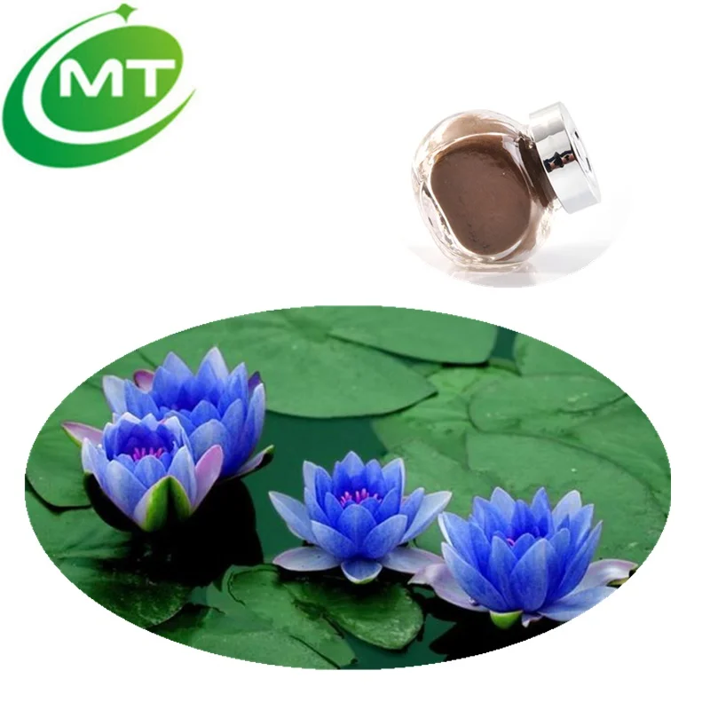 Chinese Nymphaea Caerulea Blue Lotus Extract Powder Buy Blue Lotus chinese-nymphaea-caerulea-blue-lotus-extract-powder-buy-blue-lotus