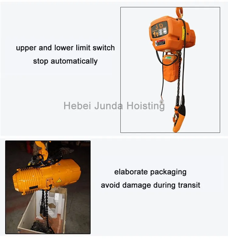 100kg Lift Motor Mini Electric Chain Hoist Buy 100kg Mini Electric