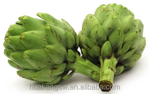 Cynarin2 5 5 アーティチョーク葉エキス末 Buy 植物アーティチョークエキス アーティチョークエキスのサプライヤ P アーティチョークエキス E Product On Alibaba Com
