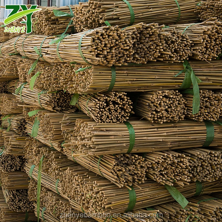 ZY-1005 Tonkin Bamboo Poles-4.jpg