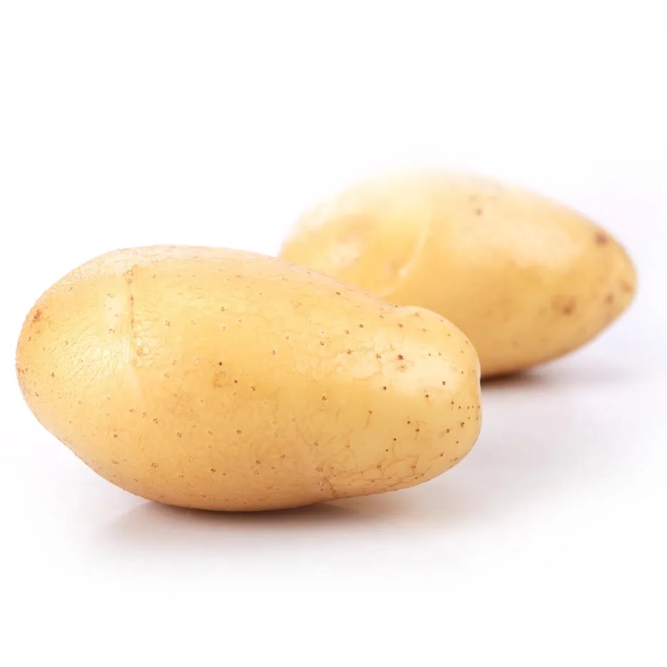 所有行业  农业 蔬菜 新鲜蔬菜  新鲜土豆  多款 长形状土豆,圆形土豆
