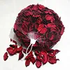 Beautiful Cotton shell dried flower for home decoration