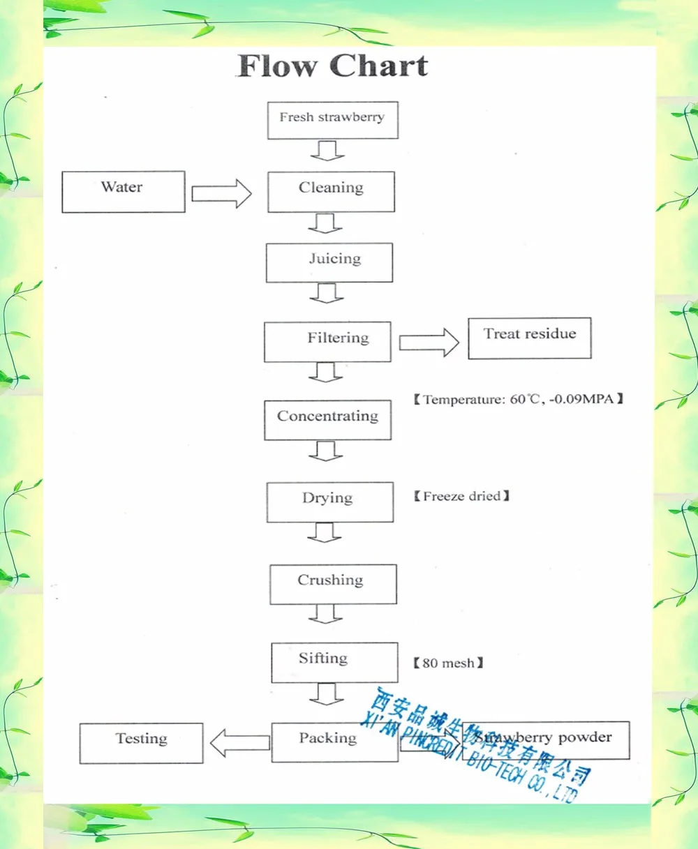 fruit juice powder.jpg