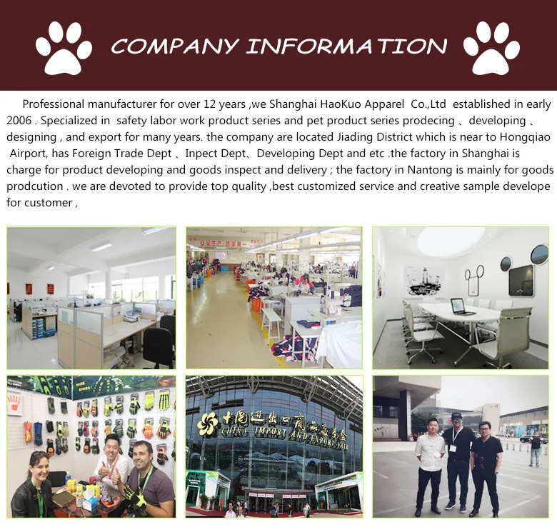 company information.jpg