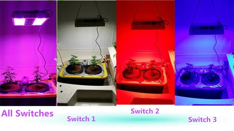Colorful Led Plant Light Battery Ed Grow Lights Saga Colorful Led Plant Light Battery Ed Grow Lights Saga 840w