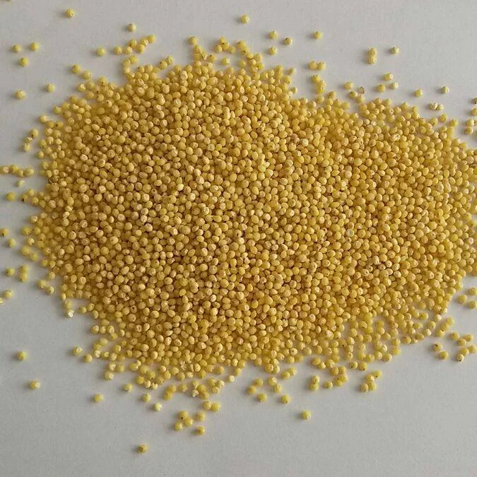 final millet .png