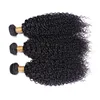 YL KBL classy signature malaysian jerry curl hair