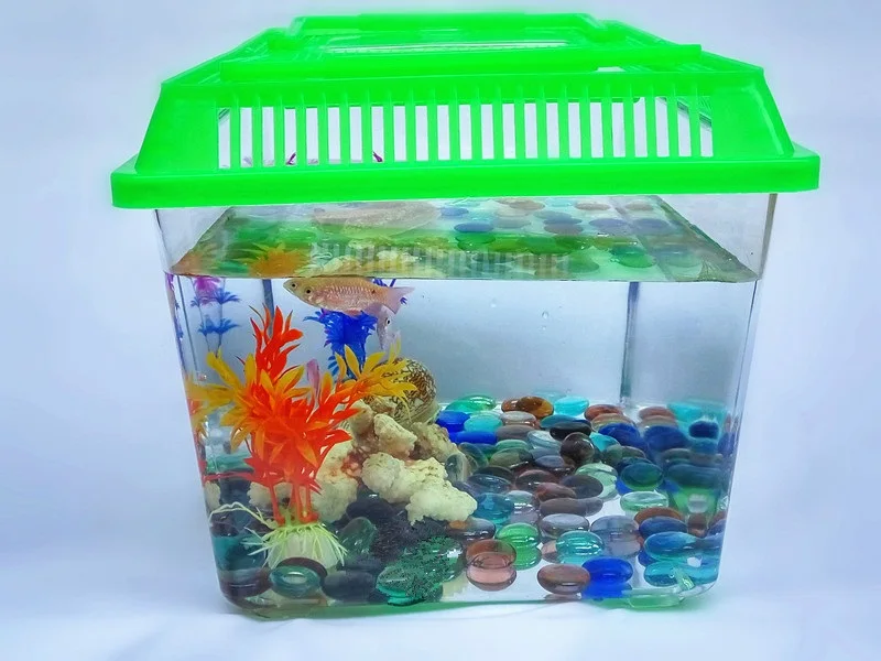 Plastic Fish Tank,Turtle Box,Clear Portable Crab Cage