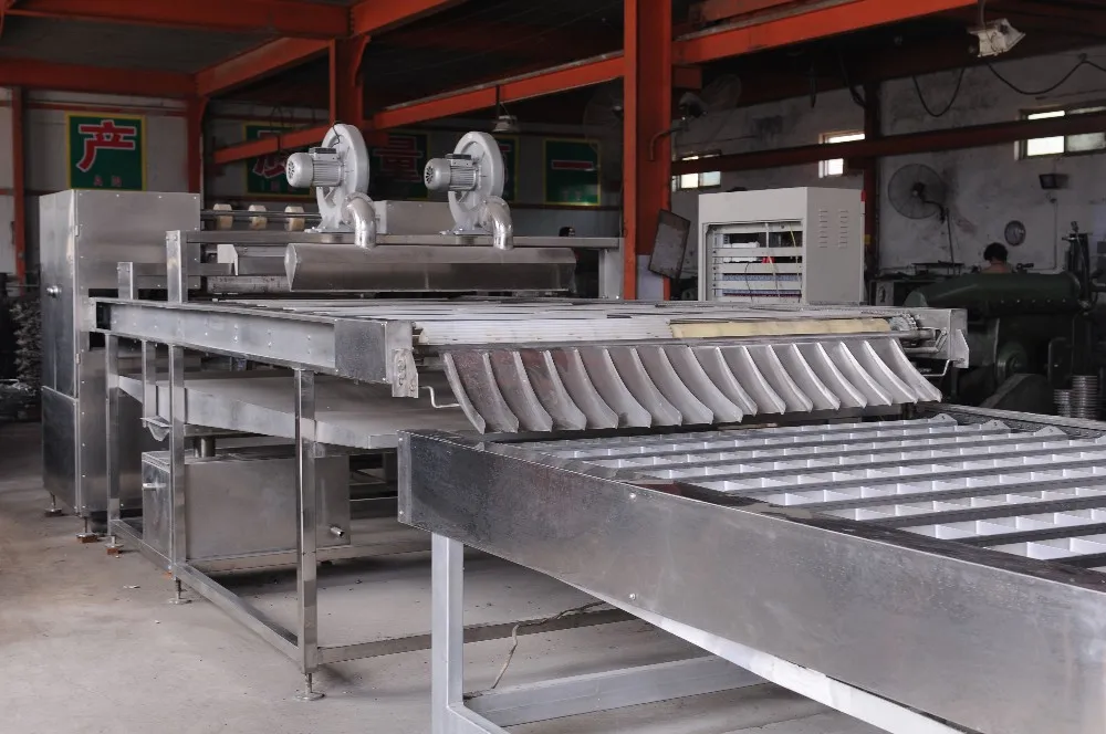 800 cutting and dividing machine