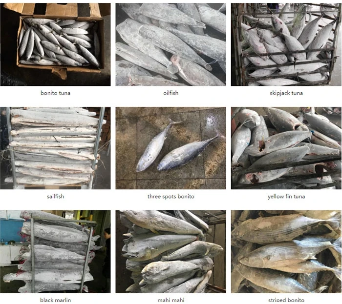 Ocean product.jpg