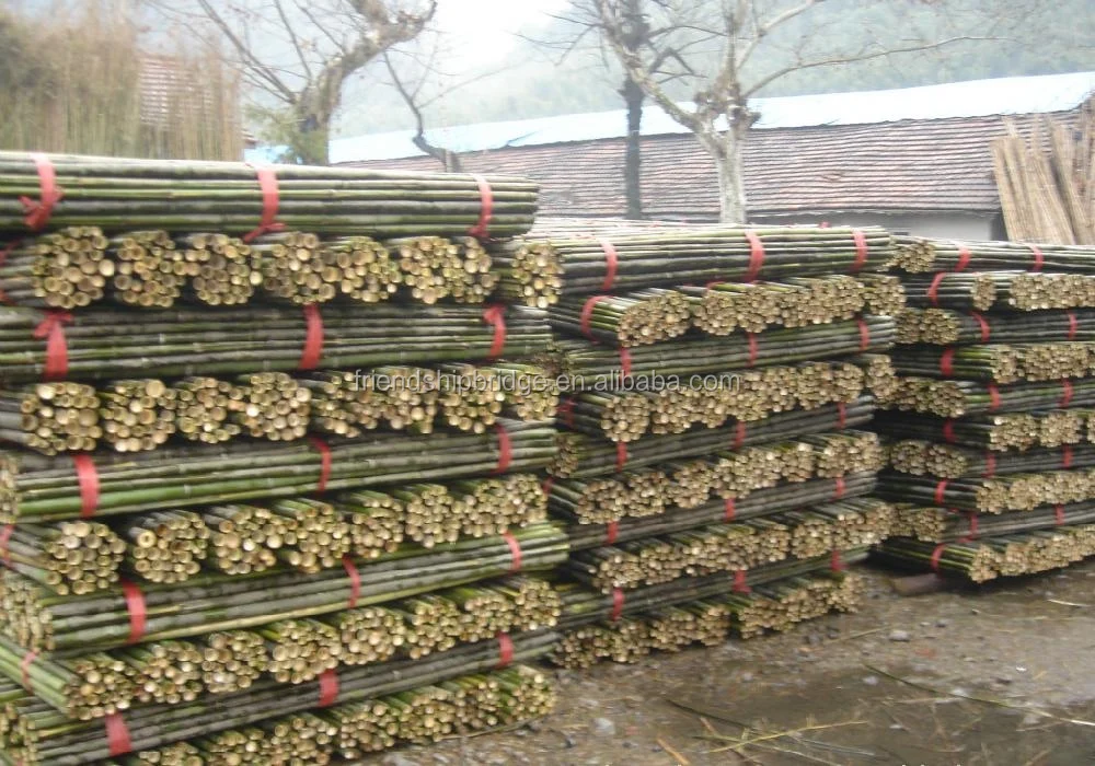 Treated Natural Bamboo For Building Buy Bamboo For Building,Treated