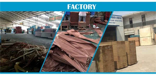 engineered gurjan wood face veneer wardrobe door design