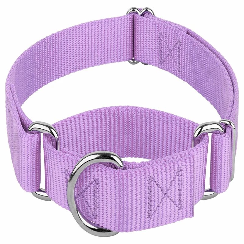 Personalized Strong Durable Cool Unique Martingale Dog Collars For Pet