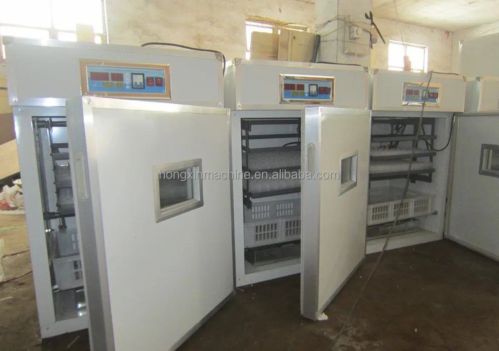 Jx-880 Automatic Egg Incubator Hatching Machine Ostrich Quail Egg