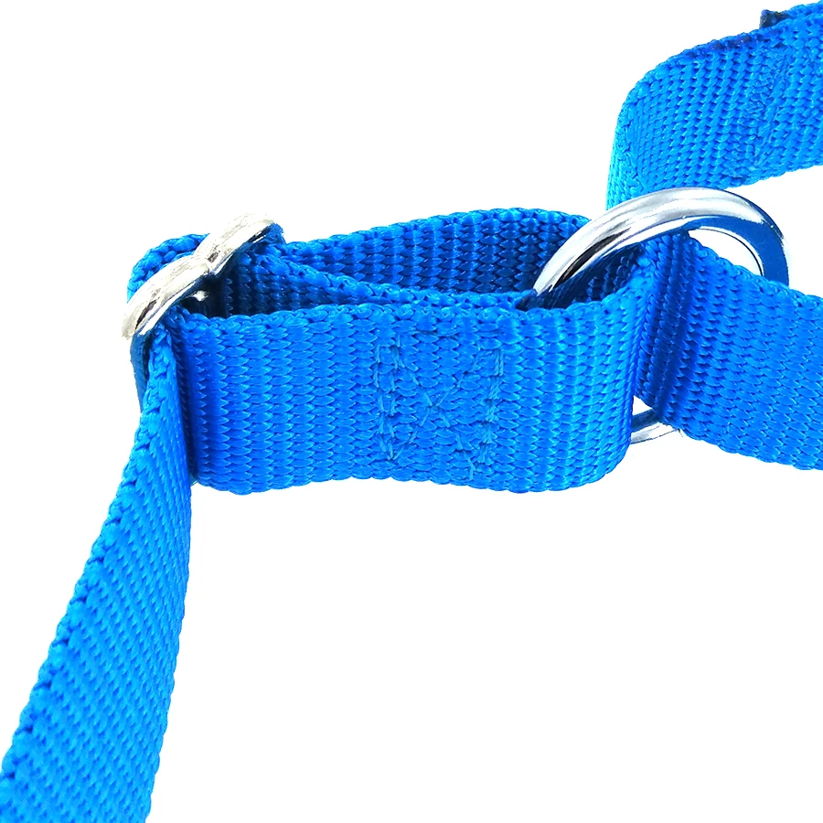 Amazon Best Seller Wholesale Martingale Heavyduty Slip Nylon Dog Collar