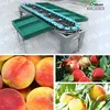 Pomegranate sorting machine/mango grading machine