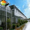 Polycarbonate galvanized steel frame greenhouse