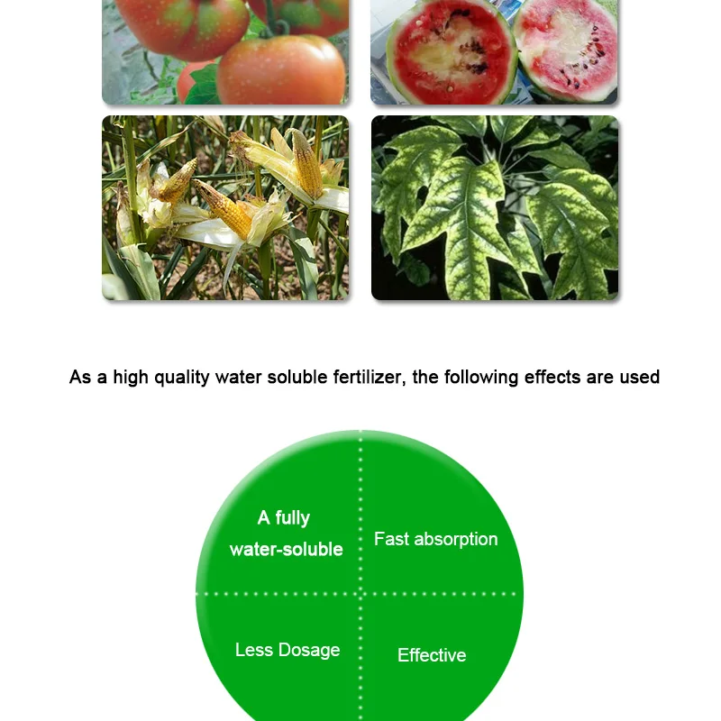 Quick release type and organic fertilizer classificate NPK 20-20-20 compound fertilizer