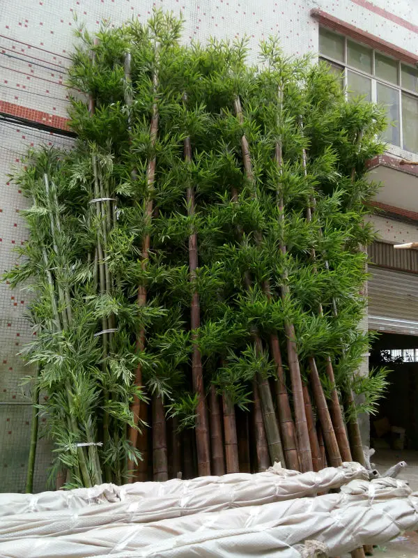Alta calidad al aire libre barato tronco real bambú afortunado bambú