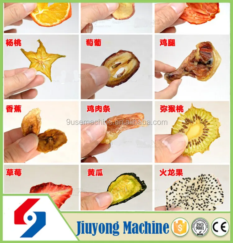 dried fruit dryer 