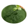 Wholesale Feed Additives Spirulina Powder 60% Protein ,Spirulina Powder
