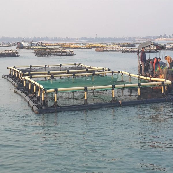 Square Cages For Tilapia Fish Breeding In Lake 4 Cages Together Buy Cage For Fish Fry,Cages