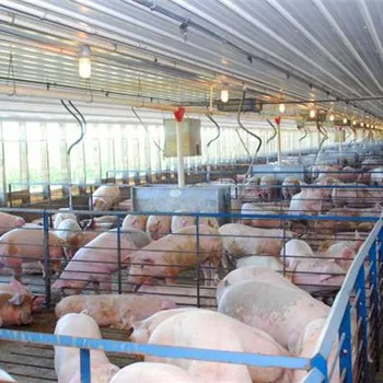 Hdg Pig Farm Equipment Pig Fattening Pen Piglet Growth Crate And Hot ...