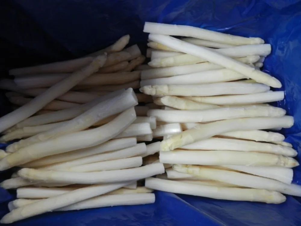 批发新的季节冷冻蔬菜婴儿玉米莲花根大蒜蒸竹根气球花