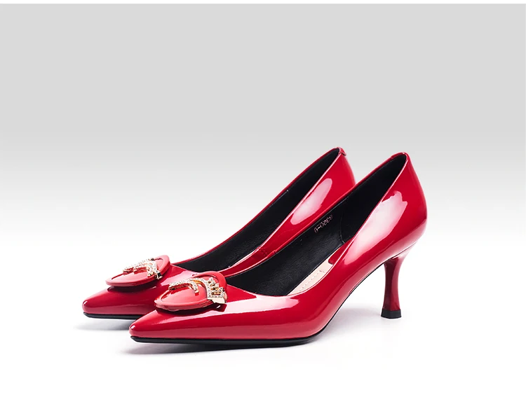 High Heel Pumps for Women Dress Shoes for Women
