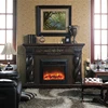 Modern cheap freestanding fireplace indoor fireplace customized