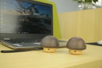 mushroom speaker (1).jpg