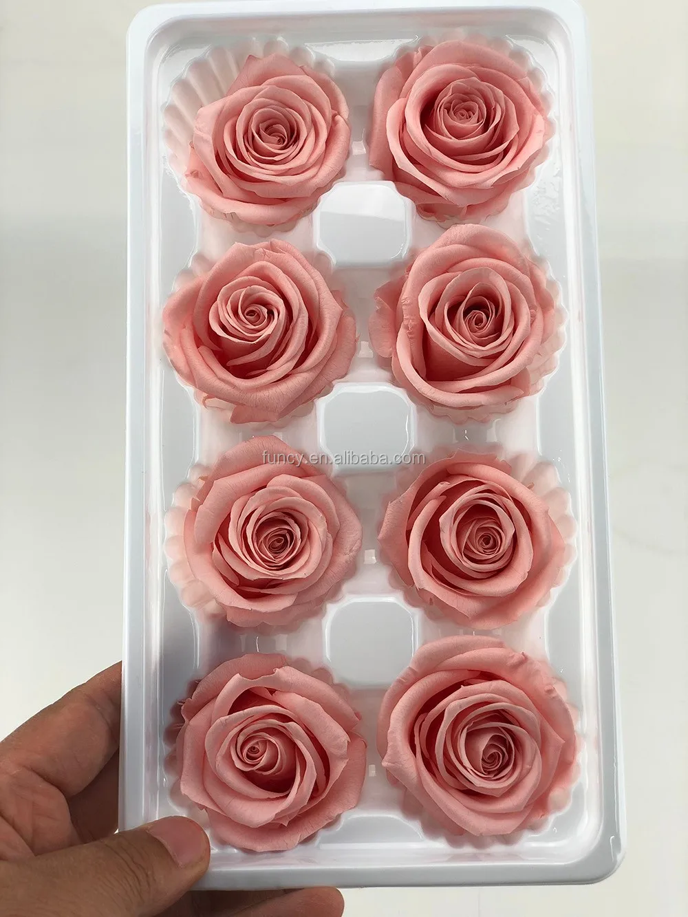 Beautiful Preserved Rose Flower 45cm A Grade Stabilized Rose Preserved Long Lasting Eternal