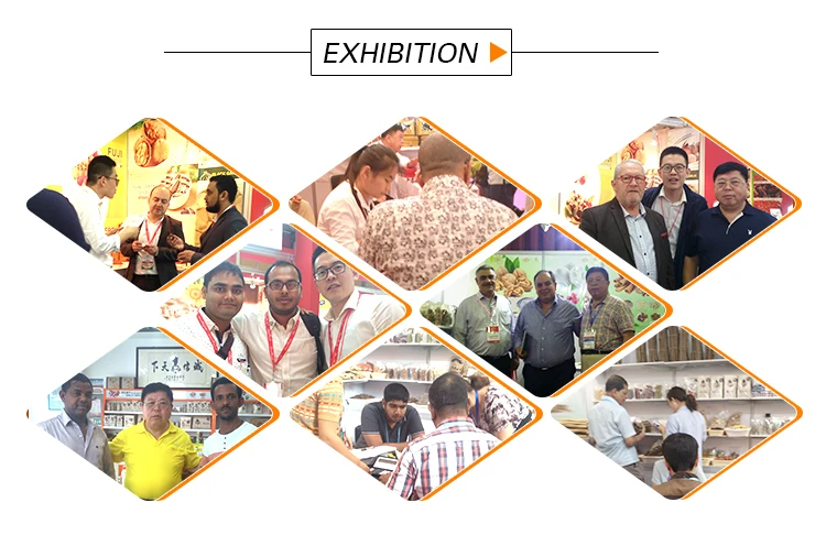 exhibition.jpg