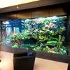 /product-detail/aquariums-acrylic-fish-tank-aquarium-accessory-type-and-eco-friendly-feature-acrylic-aquarium-62073060208.html