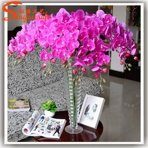 Butterfly Orchids Plants Hand Feeling For Orchids For Sale Potted