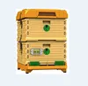 1 Set plastic bee hives complete with bee plastic frame