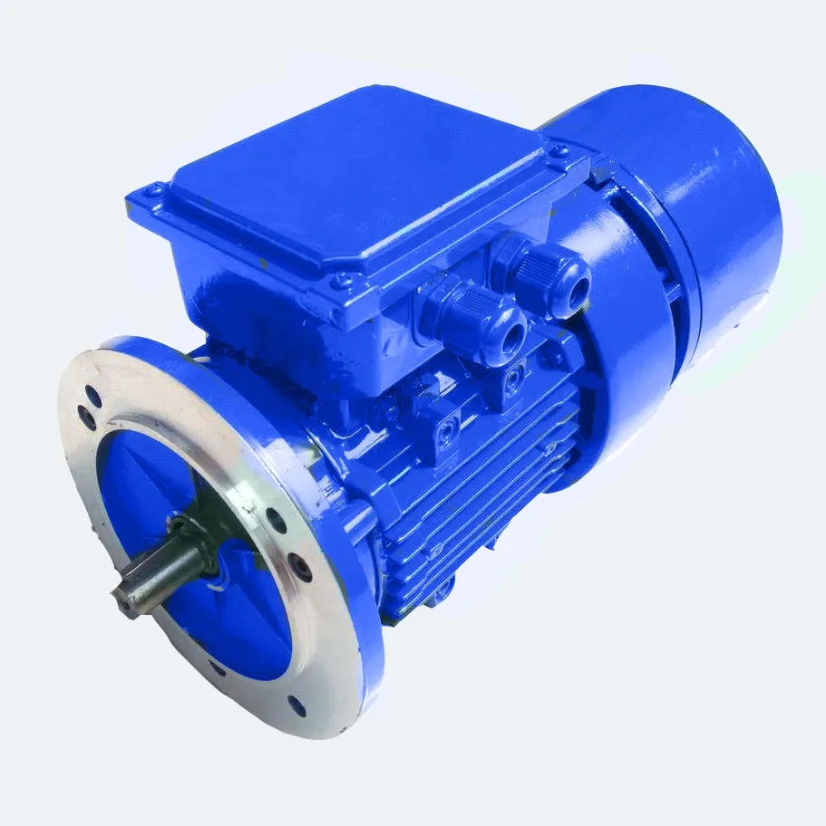 Yej Series Braking Asynchronous Motor Buy Yej Series