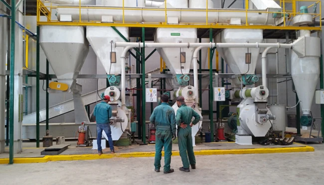 Wood pallet/Woodchips/Paper Pulp/Biomass Pellet Machine Granulator 