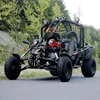150cc Go Kart 150 BUGGY for adult EEC/EPA
