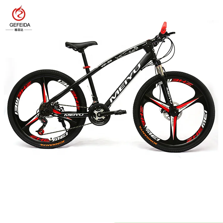 giant bikes origin