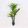 2019 Best selling evergreen excellent quality artificial plastic kwai tree