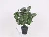 Best seller different types display waterproof artificial tree bonsai