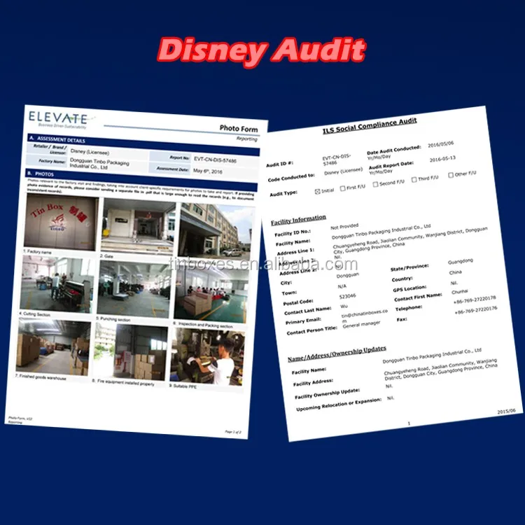 Disney Audit.jpg