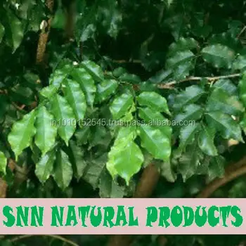 Perulu balsam Perulu balsam