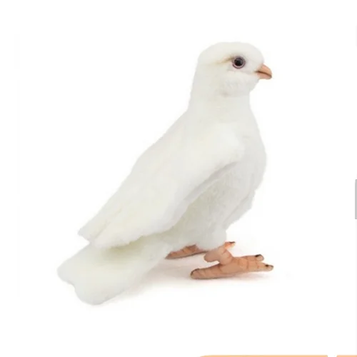 Pigeon Animaux en peluche Mignon Blanc Simulation de Maroc