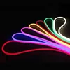 IP65 Strip Neon Flex Rope Light 110V 220V 24V 12V Color Changing RGB LED Neon Light